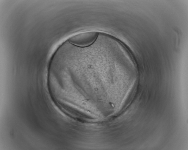 X0000113861508200910081655