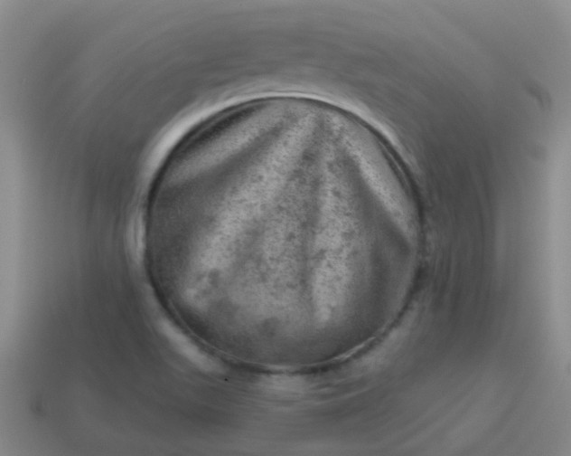 X0000113861511200910081655
