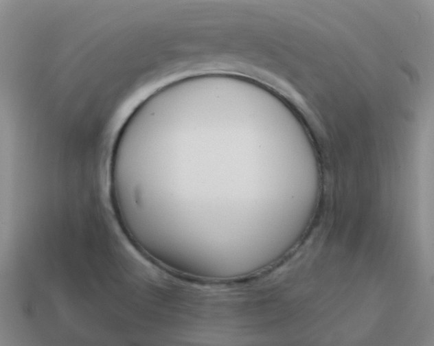X0000113861512200910081655