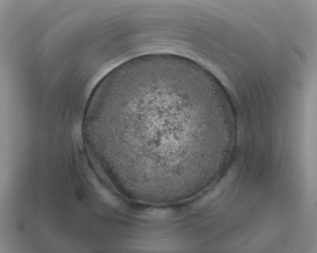 X0000113861513200910081655