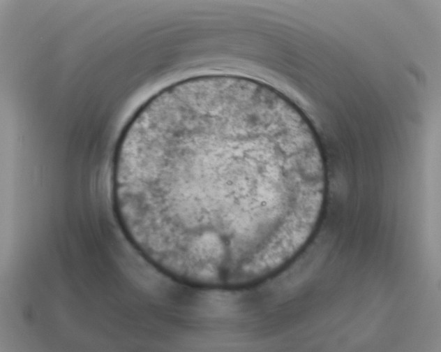 X0000113861514200910081655