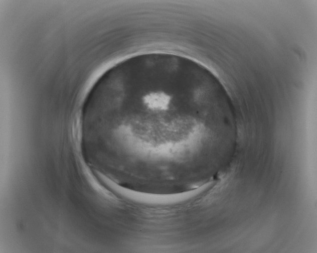 X0000113861515200910081655