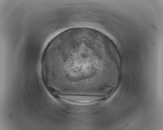 X0000113861517200910081655