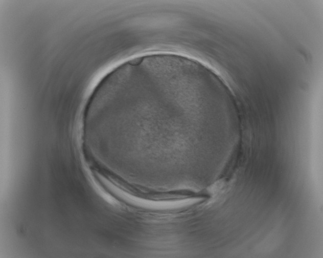 X0000113861519200910081656