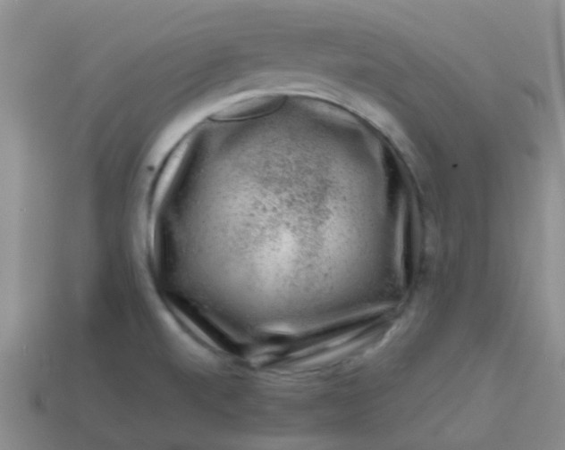 X0000113861520200910081656