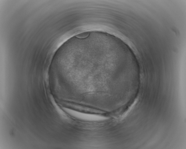 X0000113861521200910081656