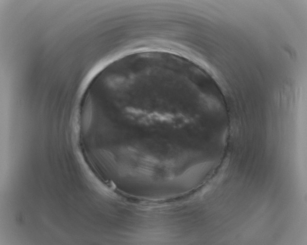 X0000113861522200910081656