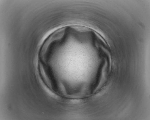 X0000113861523200910081656