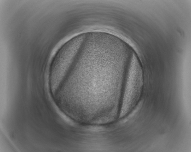 X0000113861525200910081656