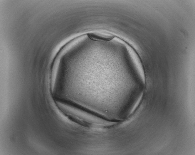 X0000113861526200910081656