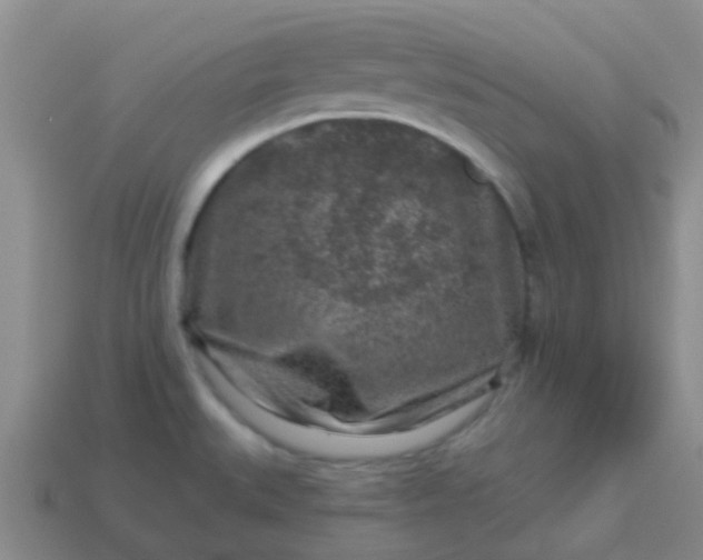 X0000113861527200910081656