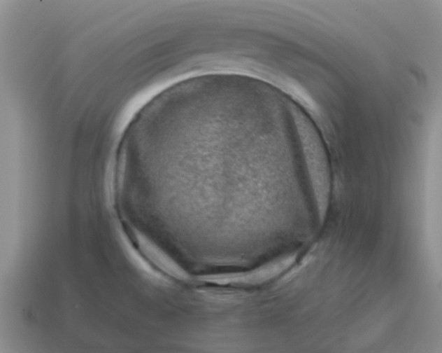 X0000113861528200910081656