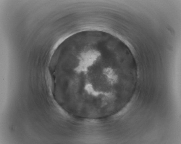 X0000113861529200910081656