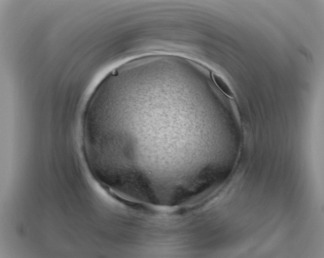 X0000113861531200910081656