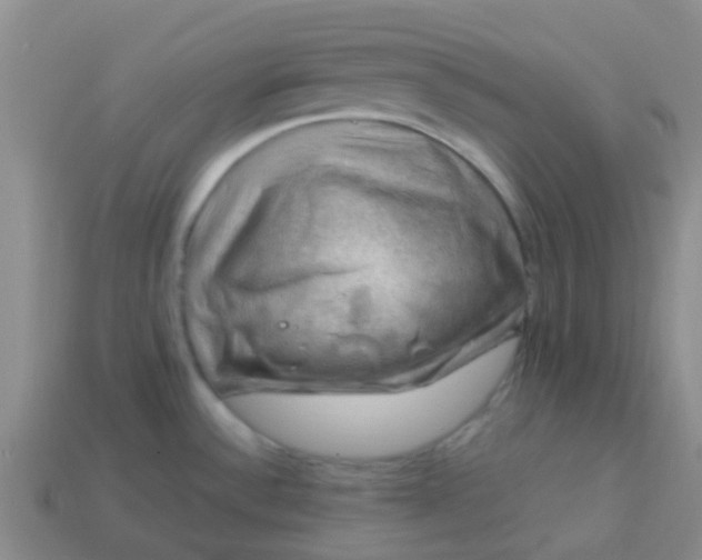 X0000113861532200910081656