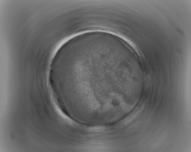 X0000113861535200910081656