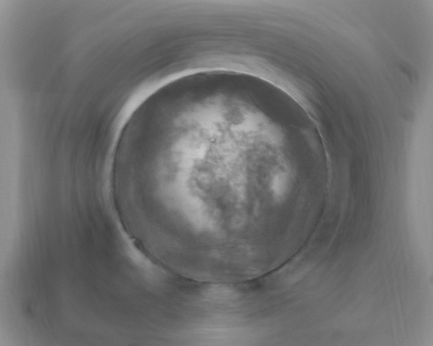 X0000113861536200910081656