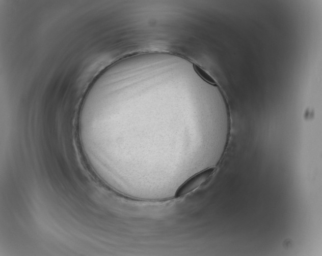 X0000113860001200910151247