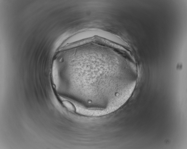 X0000113860003200910151247