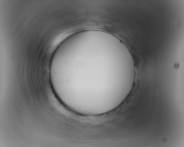 X0000113860005200910151247