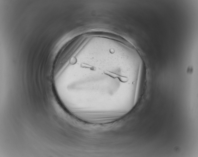 X0000113860007200910151247