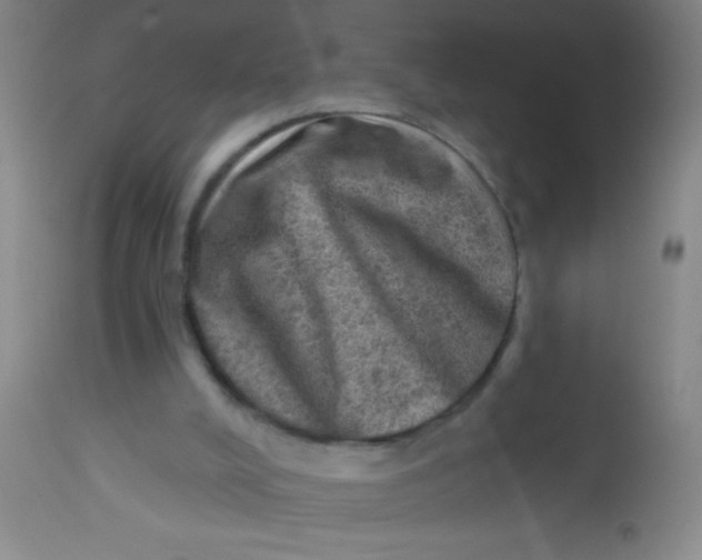 X0000113860008200910151247