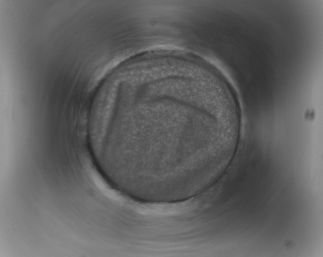 X0000113860009200910151247