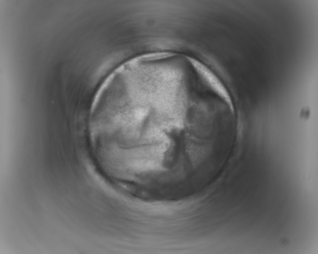 X0000113860010200910151247