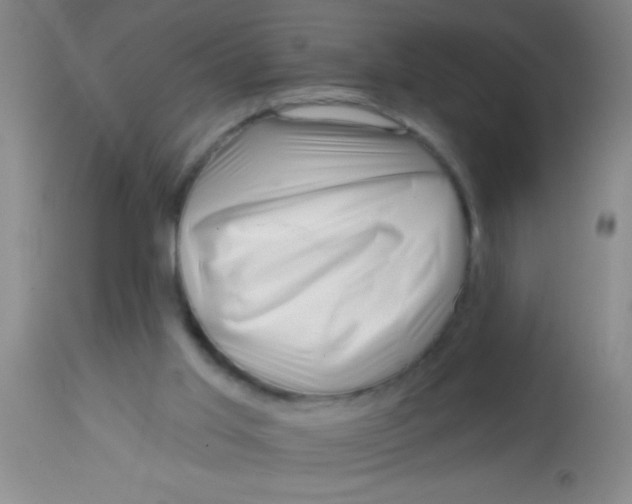 X0000113860013200910151247