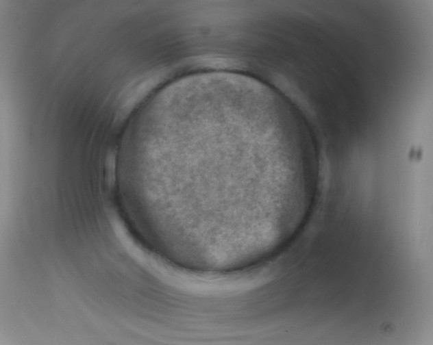X0000113860014200910151247