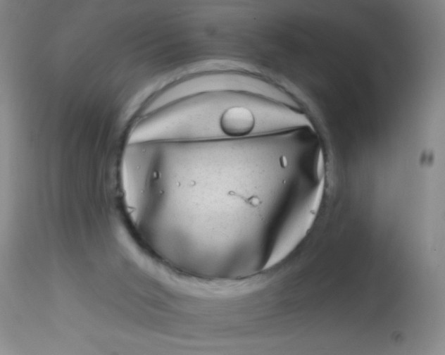 X0000113860015200910151247