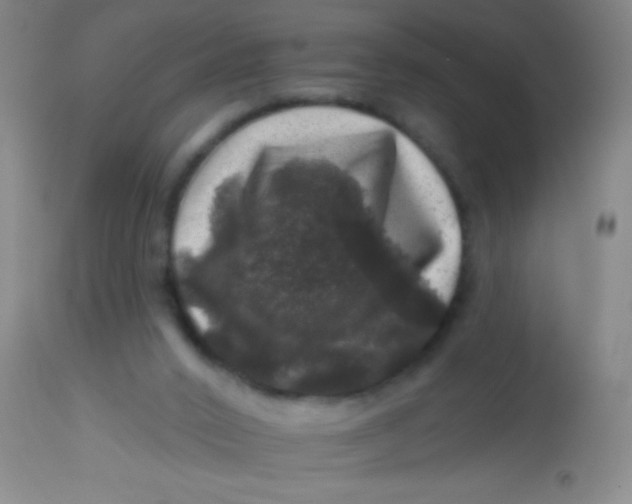 X0000113860016200910151247