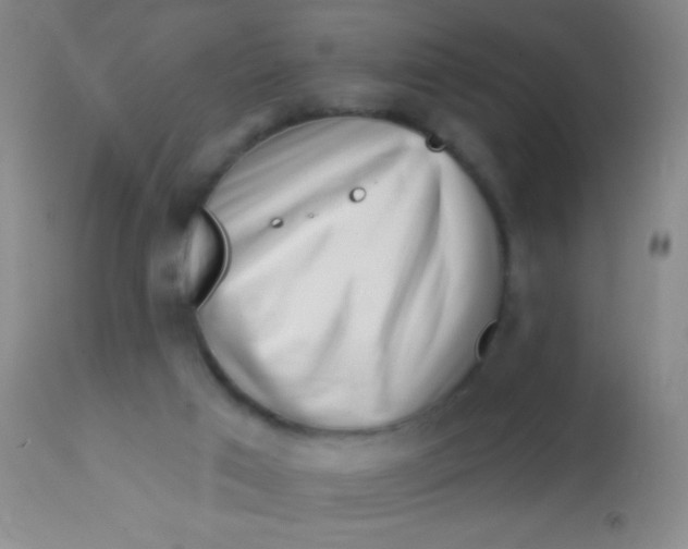 X0000113860017200910151247