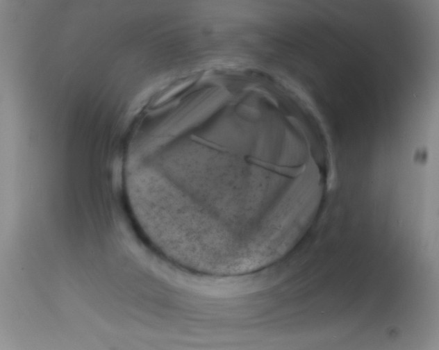 X0000113860019200910151247