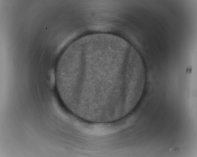 X0000113860020200910151247