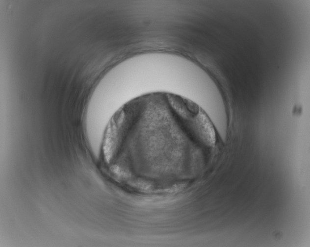 X0000113860021200910151247