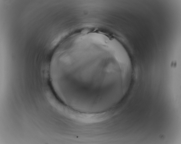 X0000113860023200910151247