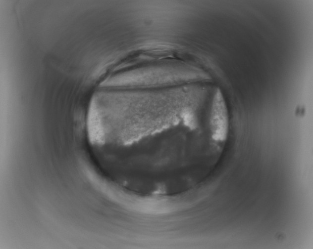 X0000113860024200910151247