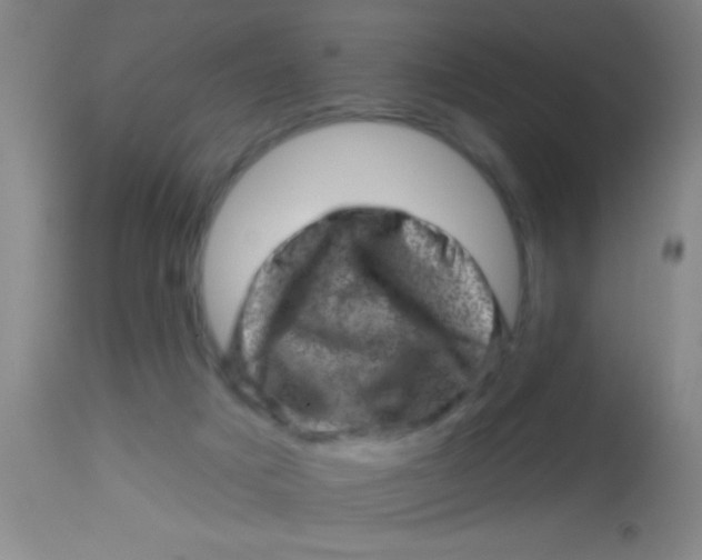 X0000113860025200910151247