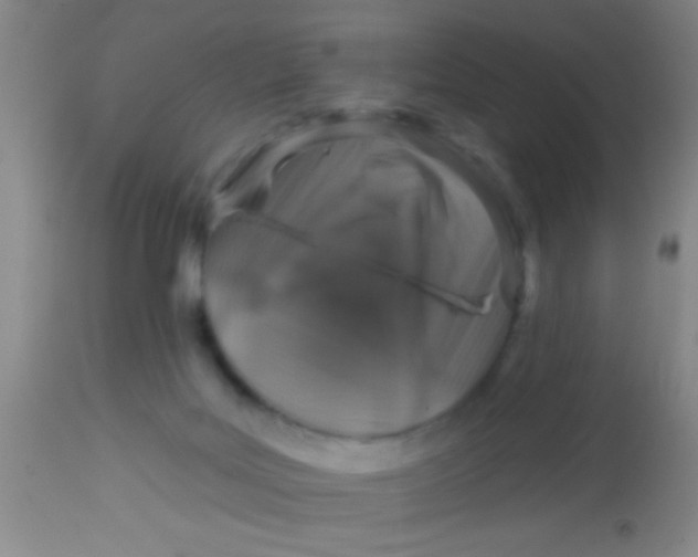 X0000113860027200910151247