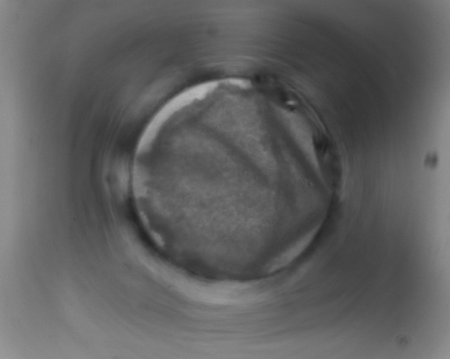 X0000113860028200910151247