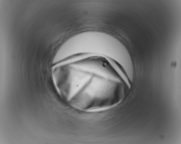 X0000113860029200910151247