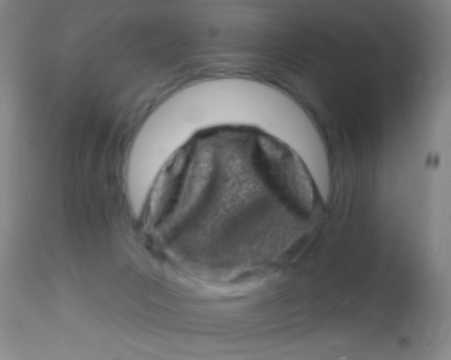 X0000113860031200910151247