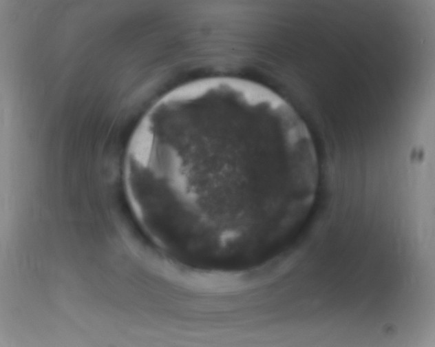 X0000113860032200910151247