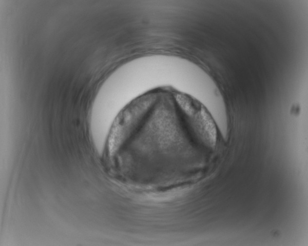 X0000113860033200910151247