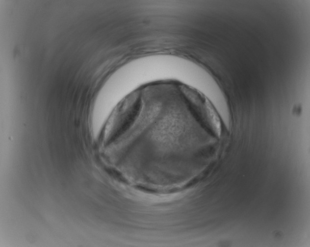 X0000113860035200910151247