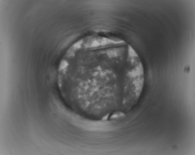X0000113860036200910151247