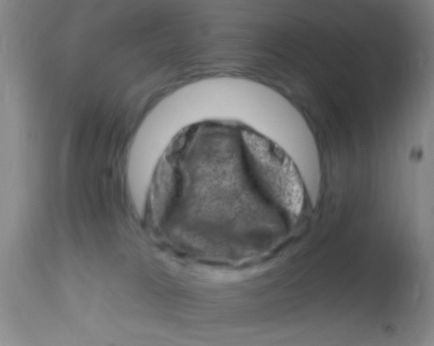 X0000113860037200910151247