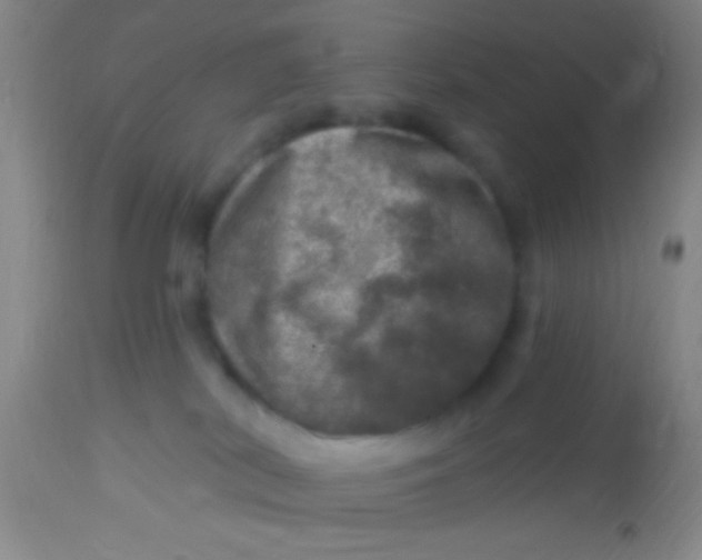 X0000113860038200910151247