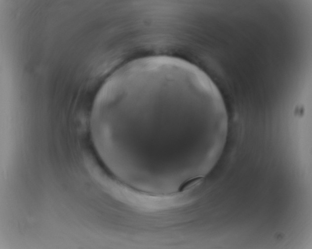X0000113860039200910151247